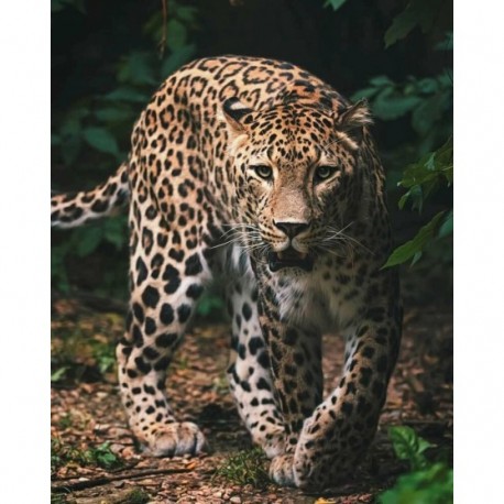 Koc dziecięcy Leopard Lampart 4942 JERRY FABRICS 120x150 rozmiar cm