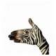 Koc dziecięcy z mikrofibry Zebra rozmiar 160x200 cm