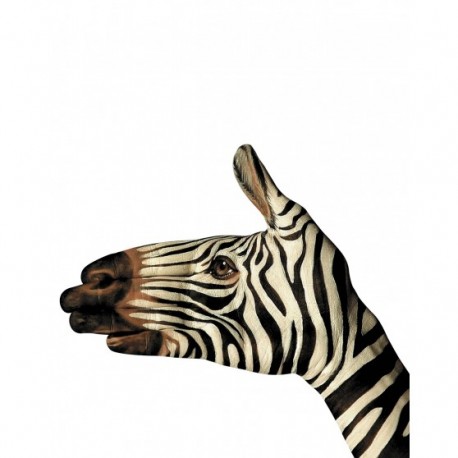 Koc dziecięcy z mikrofibry Zebra rozmiar 160x200 cm
